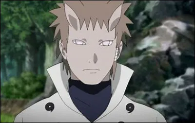 Qui est le frère de l'Ermite Rikudo ?