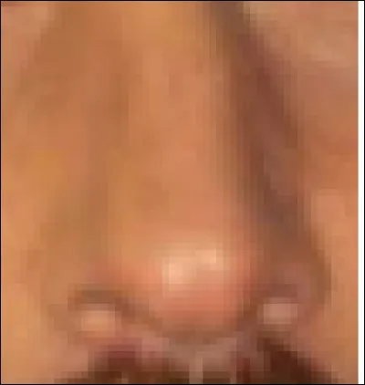 Ce nez appartient à un chanteur et acteur. Qui est-il ?