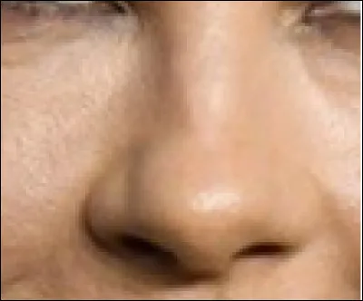 Ce nez appartient à une actrice, danseuse et chanteuse. Qui est-elle ?