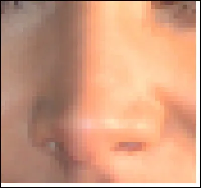 Ce nez appartient à une chanteuse, danseuse et actrice. Qui est-elle ?