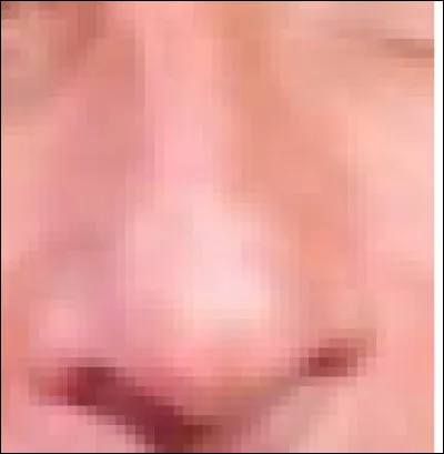 Ce nez appartient à un animateur, acteur et producteur. Qui est-il ?