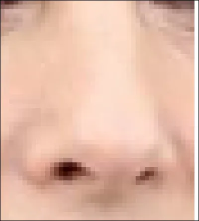 Ce nez appartient à une actrice et mannequin. Qui est-elle ?