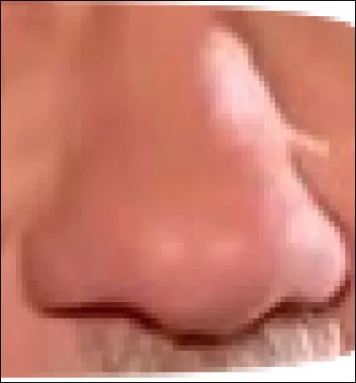 Ce nez appartient à un acteur, réalisateur et scénariste. Qui est-il ?