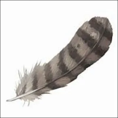 Quelqu'un te demande de prêter ta plume, qu'est-ce que tu fais ?