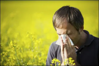 La rhinite allergique est une affection bénigne résultant d'une hypersensibilité à un allergène qui peut être, par exemple, le pollen, la poussière ou les poils d'animaux. Par quel nom connaît-on le mieux la rhinite due à l'allergie au pollen ?