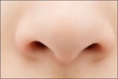 Que signifie ''avoir le nez fin'' ?