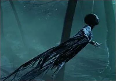 Qui a ordonné aux détraqueurs d'attaquer Harry et son cousin ?