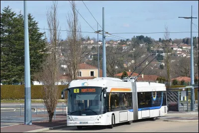 Quelle est la compagnie du bus ?