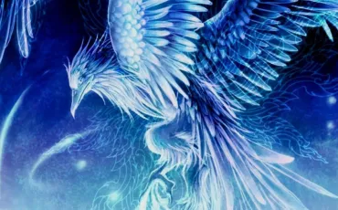 Quiz Animaux
