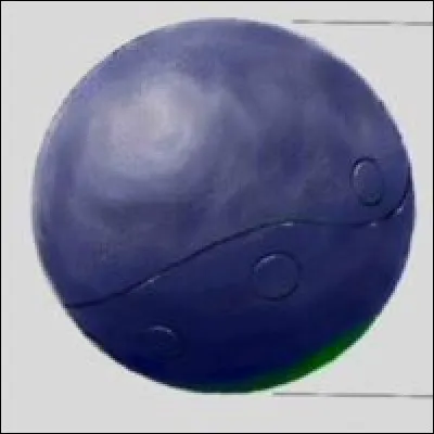 Comment s'appelle cette balle ?