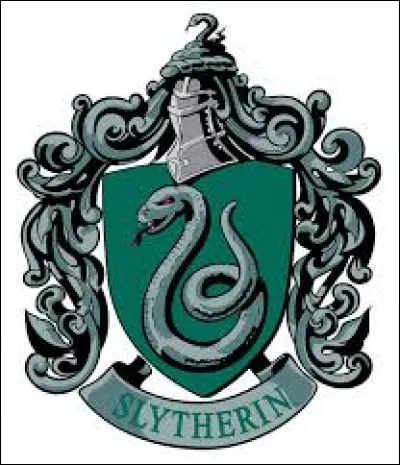 Qui est le directeur de l'équipe de Quidditch de Serpentard dans Harry Potter 2 et 3 ?