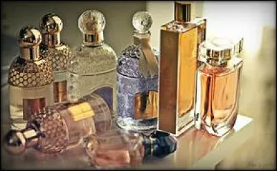 Comment appelle-t-on la liste des ingrédients entrant dans la composition du parfum ?