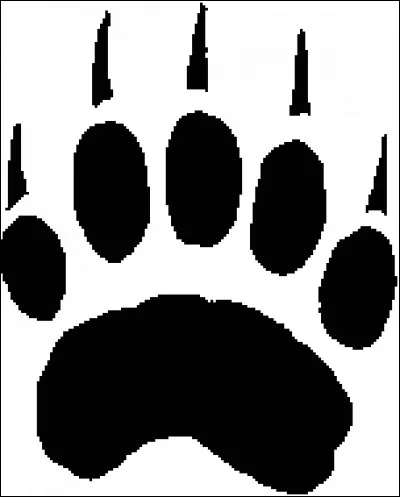 À quel animal correspondent ces empreintes ?