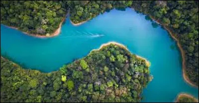 Lequel de ces mots est un synonyme de l'odeur ?