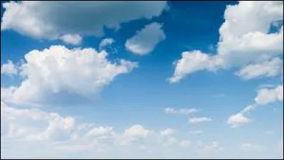 Les odeurs, artificielles ou naturelles, nous parviennent au nez grâce à/aux...