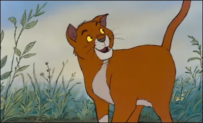 Quel signe dessine O' Maley à l'emplacement où devrait s'arrêter la camionnette pour Paris ?