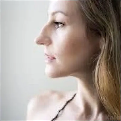 Comment s'appelle ce type de nez ?