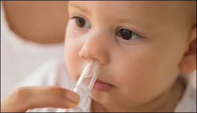 Que sont les Nez-Percés ?