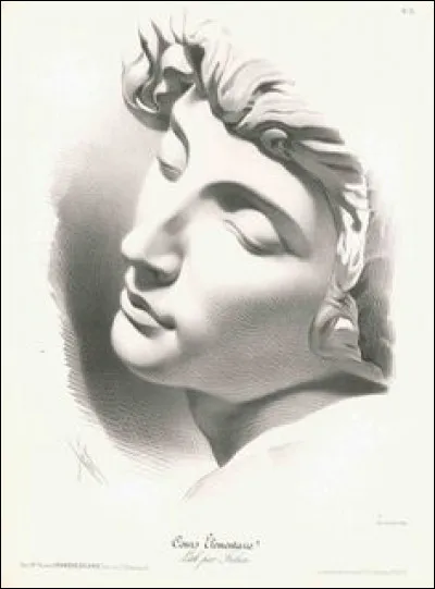 Quel solide peut être assimilé au nez ?