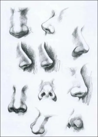 Quelle partie du nez sera la plus la foncée au moment où on créé les contrastes ?