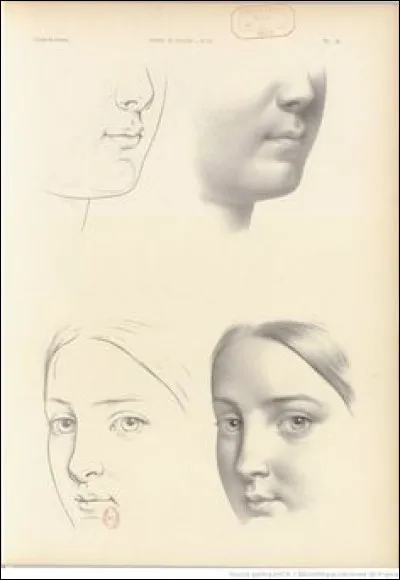 Le nez est-il un élément indispensable dans l'expression d'un visage ?