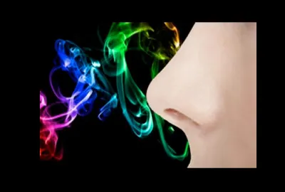 Combien d'odeurs les meilleurs nez sont-ils capables de mémoriser ?