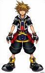 Quiz Kingdom hearts