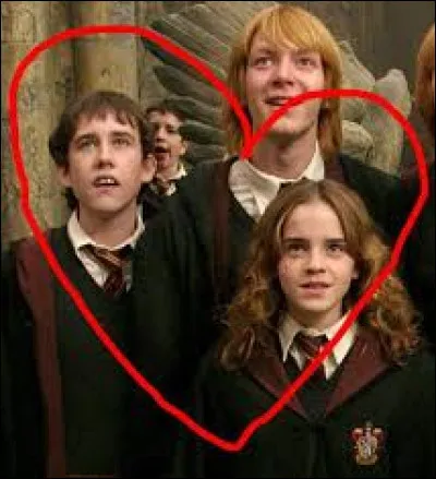 Qui est ton crush dans "Harry Potter" ?