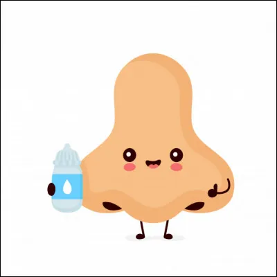 Ce nez n'a rien d'intelligent, il est plutôt sot !