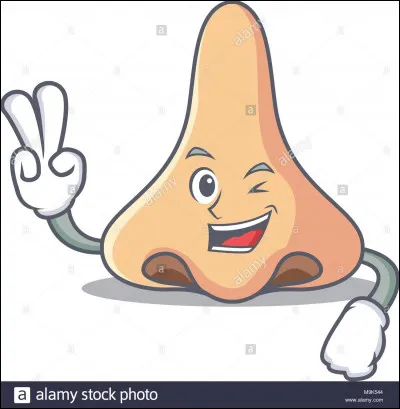 Ce nez-là est complètement ballot !