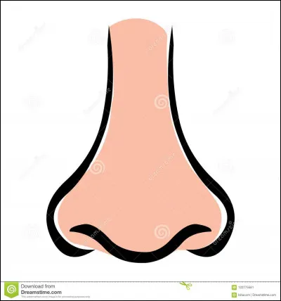 Et enfin un nez sain !