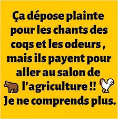 De ces quatre animaux, l'un chasse à l'odorat !