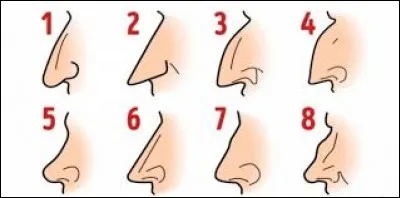 Ci-dessous, l'un des personnages a un rapport avec la forme d'un nez !