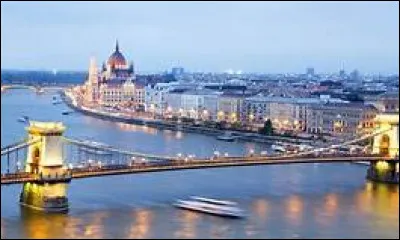 En hongrois, quel animal ferez-vous sauter d'un buisson si vous souhaitez trouver une expression synonyme d'une célèbre phrase française citée précédemment ?