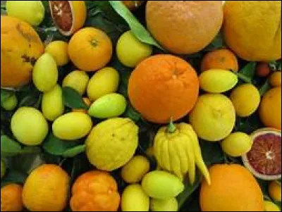 La technique de l'expression est extrêmement employée en parfumerie et en cosmétique, de part sa facilité d'utilisation, le respect de la conservation de l'odeur de l'agrume ou encore la conservation des qualités thérapeutiques de l'aliment. Cependant, un inconvénient se présente comme un obstacle à la réalisation systématique de ce procédé : lequel ?