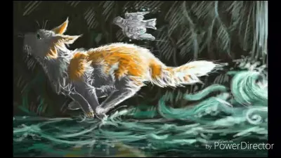 Quel surnom donne-t-on à Œil du Ciel, le chef du clan du Ciel ?