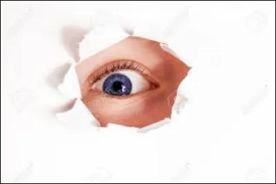 Trouvez l'adjectif synonyme de l'expression "fourrer son nez partout".