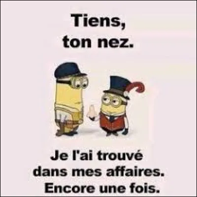 Mettre le nez dans les affaires de quelqu'un signifie :