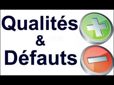 Quel est ton plus grand d&eacute;faut ?