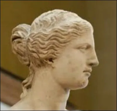 Je suis droit, pointu et aux narines étroites. Je suis...