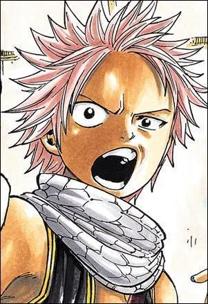 Natsu cherche qui ? (1er tome)