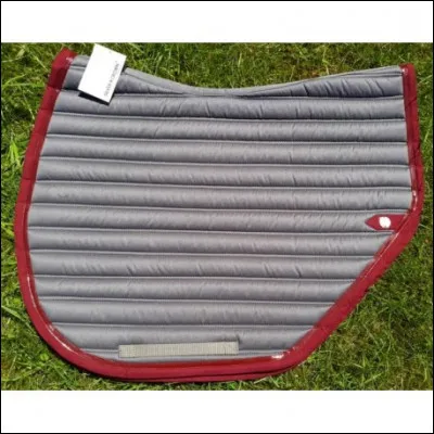 Comment s'appelle cette coupe ?