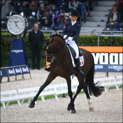 Aux concours et cours de dressage on doit être :
