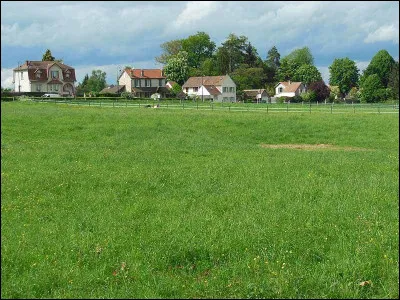 Peut-on mettre plusieurs chevaux dans le même pré ?