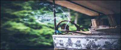 Enfin arrivée dans votre espace de travail, vous vous affalez sur votre chaise, épuisée par ce début de journée mouvementé. Vous faites brûler un peu d'encens pour vous détendre avant de commencer votre journée. A partir de quoi celui-ci est-il produit ?