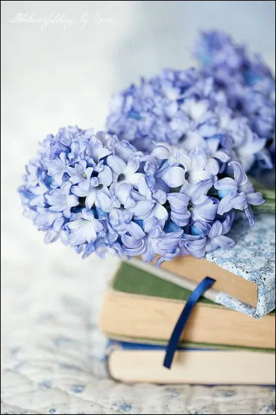 Percy Kemp raconte l'histoire d'un homme d&eacute;sesp&eacute;r&eacute; car la formule de son parfum a &eacute;t&eacute; modifi&eacute;e. Quel est ce livre ?