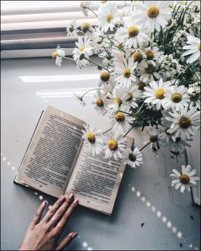 On n'oublie pas "le nez" dans les livres. &Agrave; qui doit-on les mots grav&eacute;s dans nos m&eacute;moires "Le nez dans le ruisseau, c'est la faute &agrave; Rousseau" ?