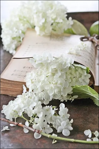 "L'Iliade et l'Odyss&eacute;e" ont aussi inspir&eacute; les grands parfumeurs. Comment Issey Miyake a-t-elle appel&eacute; son c&eacute;l&egrave;bre parfum ?