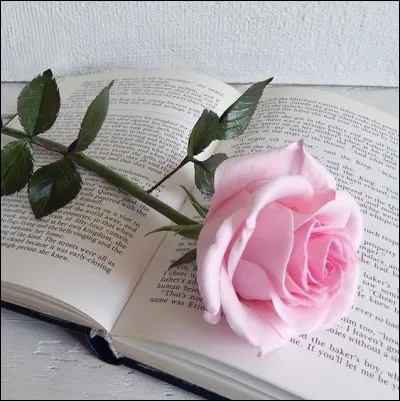 "Elle arrivait essouffl&eacute;e, les joues roses, et exhalant de sa personne un frais parfum de s&egrave;ve..." Qui d&eacute;crivait ainsi la belle Emma Bovary ?