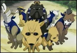 Kakashi utilise souvent cette technique, c'est une technique de rang B :